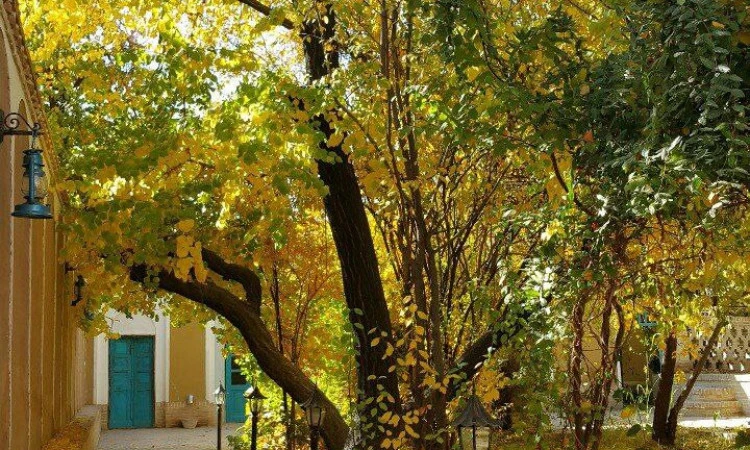 اقامتگاه عمارت نعمت الهی ماهان ( اتاق 6 )