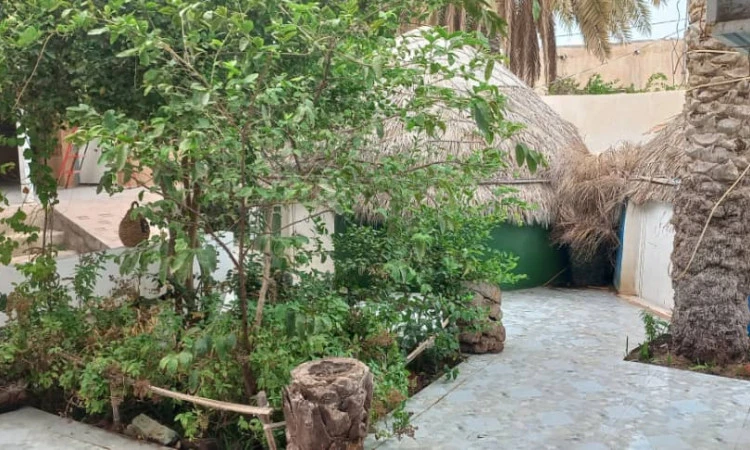بوم گردی دنج هرمز (اتاق کلبه نخل جنوب)
