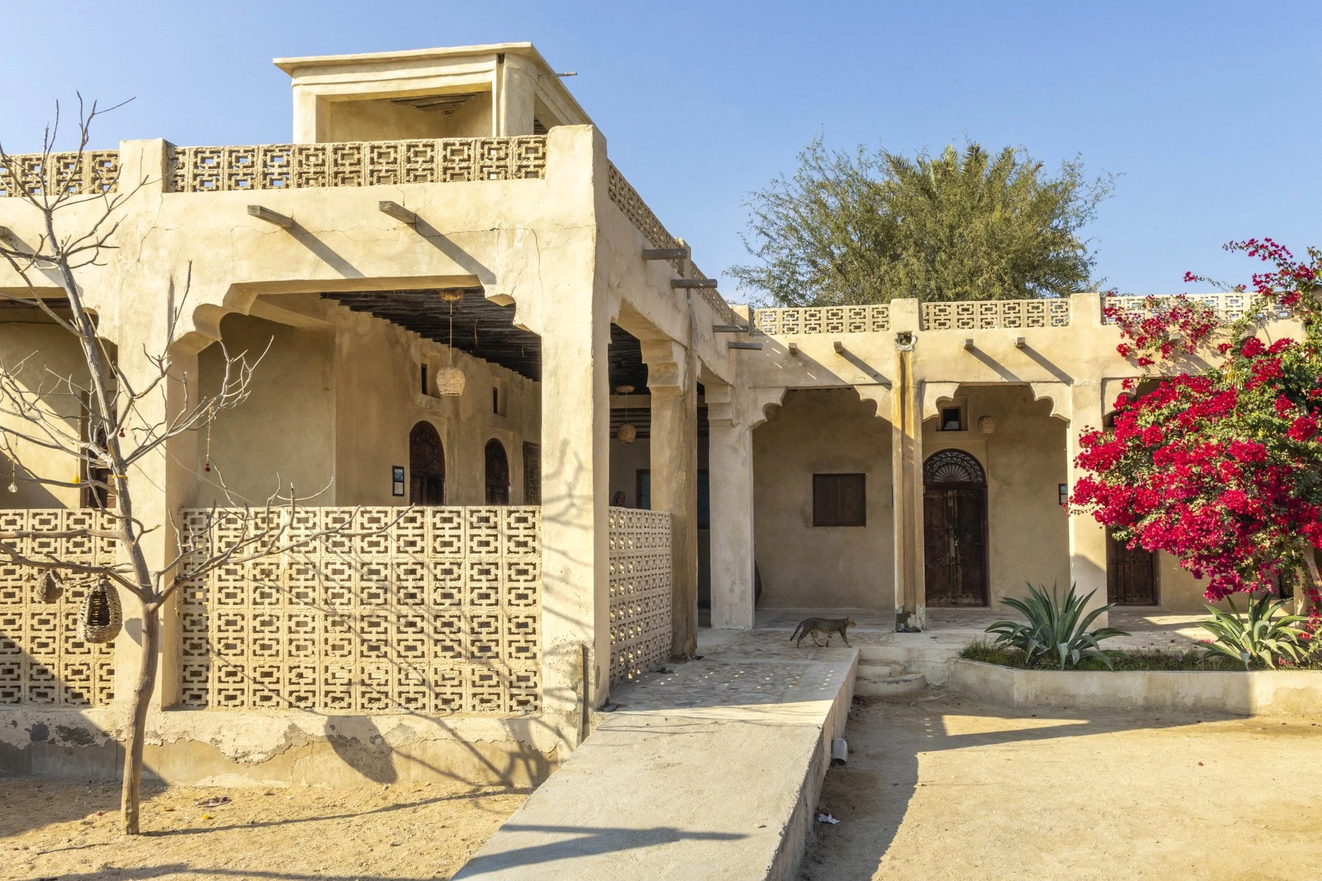 بوم گردی خانه دوست قشم  ( واحد بادگیر VIP)