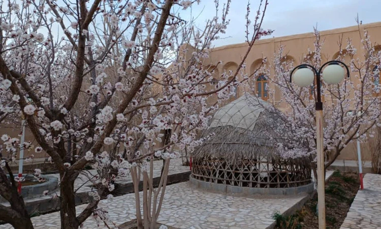 اقامتگاه خانه باغ صفا آباده (همکف)
