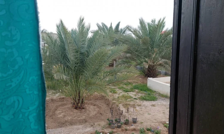 بوم گردی سلت خورموج (اتاق رز)