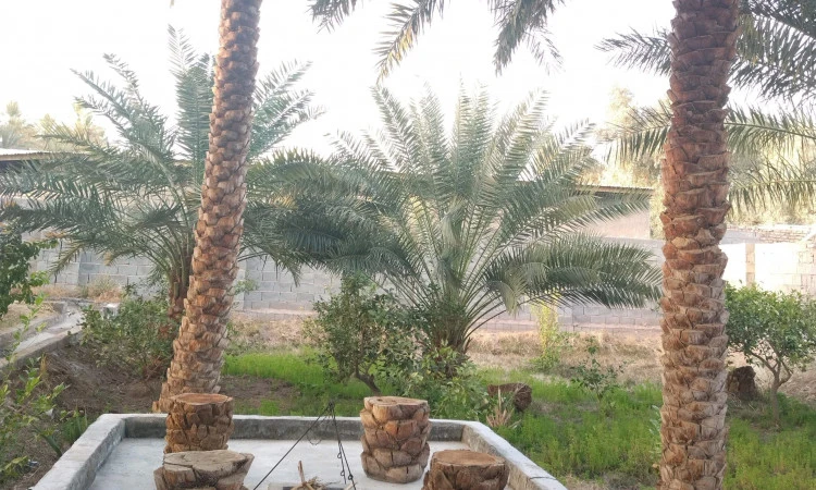 اقامتگاه هوربانو کرمان ( اتاق دو تخته مهر )