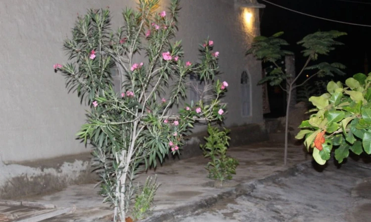 بوم گردی مدالی قشم (اتاق 4نفره)